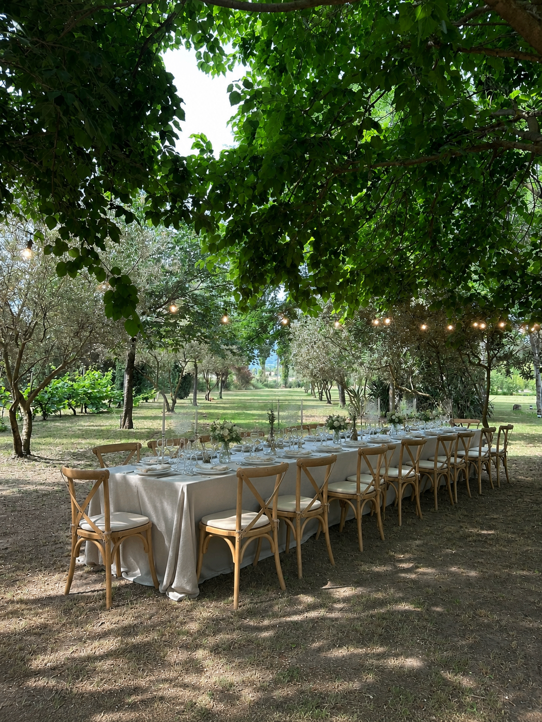 Parc arboré